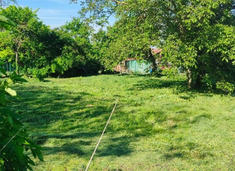 Grassy plots for living in Dolné Dubové with abundant greenery and trees.