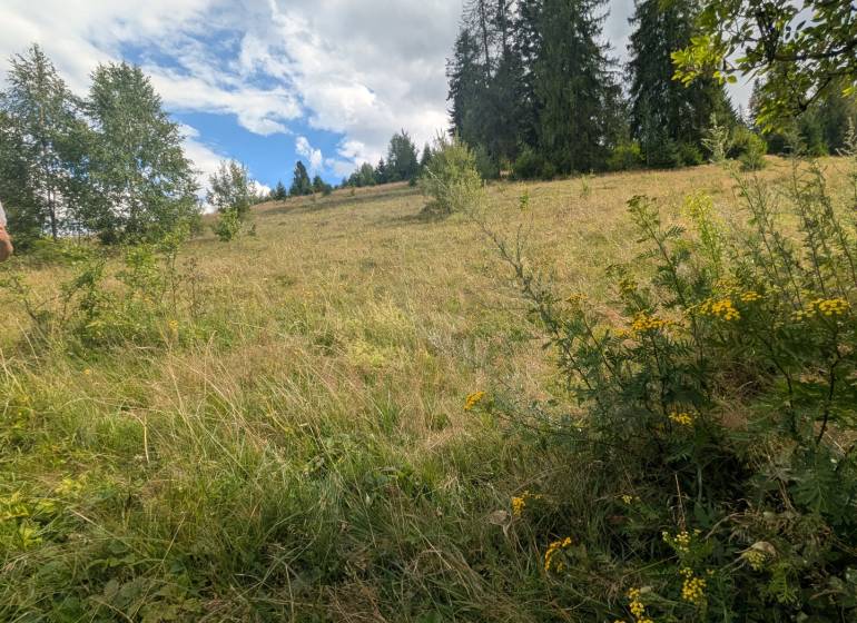 J&MZ stavebný pozemok