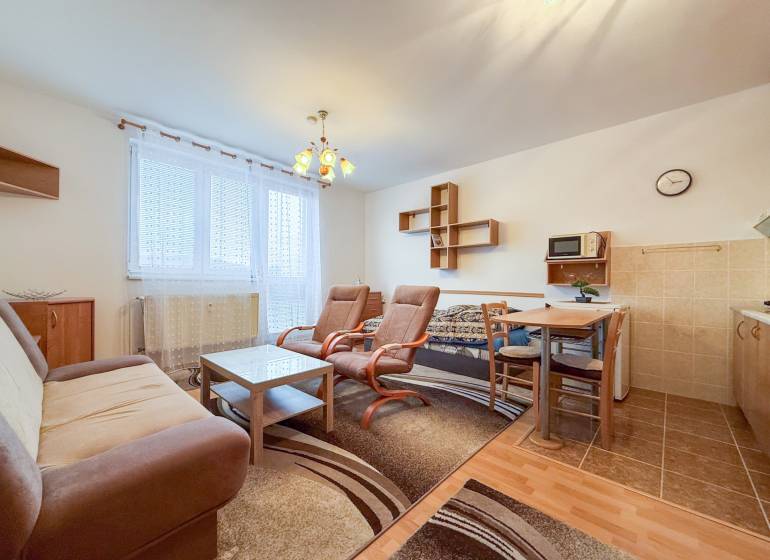 A studio apartment with a wooden floor, a sofa, armchairs, a table, and a kitchenette.