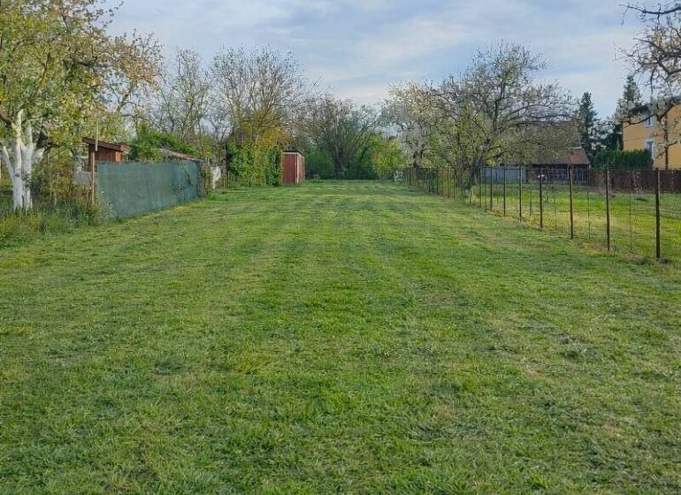 A garden in Michalovce by a family house with mowed lawn and trees.