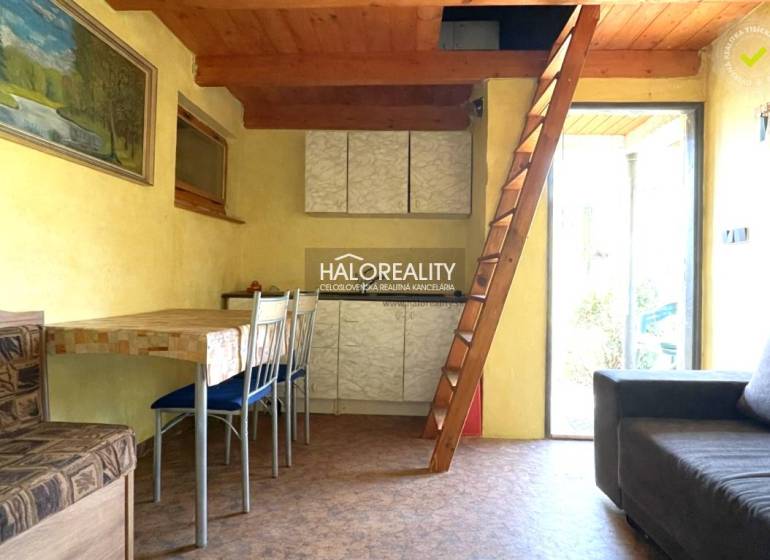 Interior of a cabin with a wooden ceiling, ladder, and floor with a wooden decor.