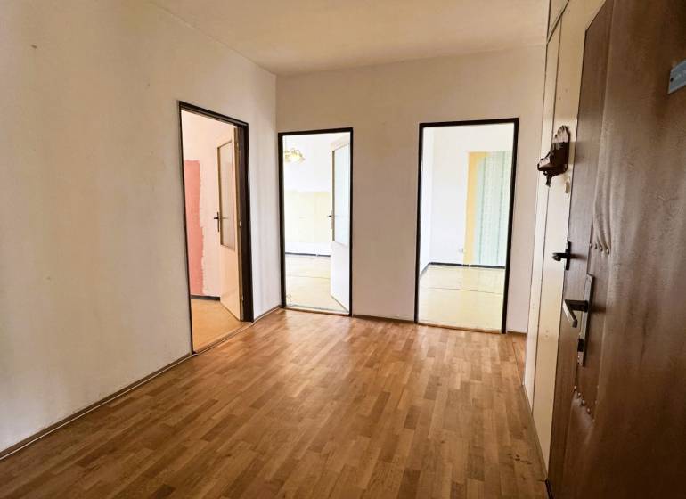 Entrance hall in a 3-room apartment with a wooden decor floor and multiple doors.