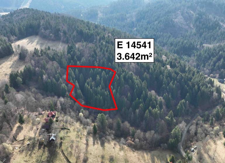 Aerial view of agricultural and forest lands in Lazy pod Makytou, framed by forests.