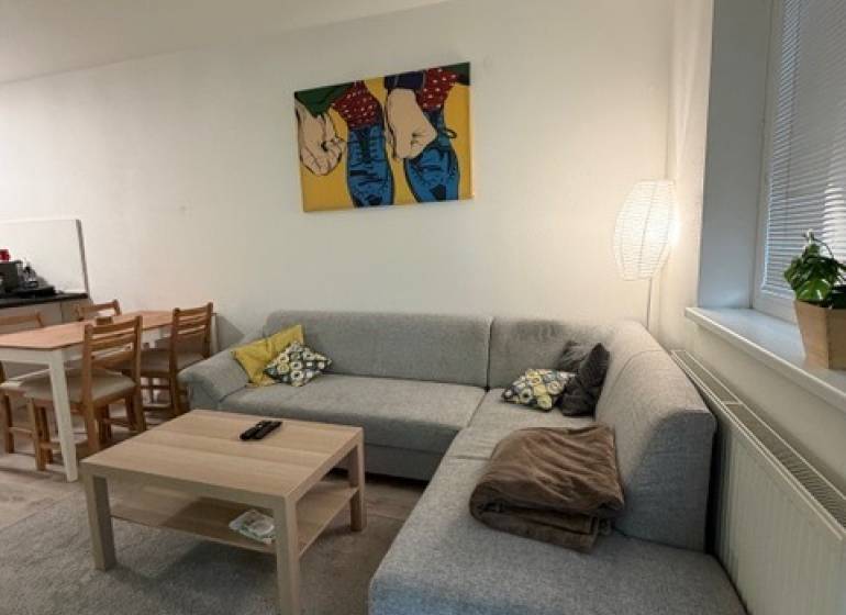 A bright living room with a corner sofa and art in a two-room apartment.