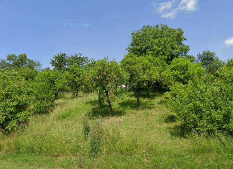 Green agricultural and forest land in Rudník with a variety of trees and shrubs.