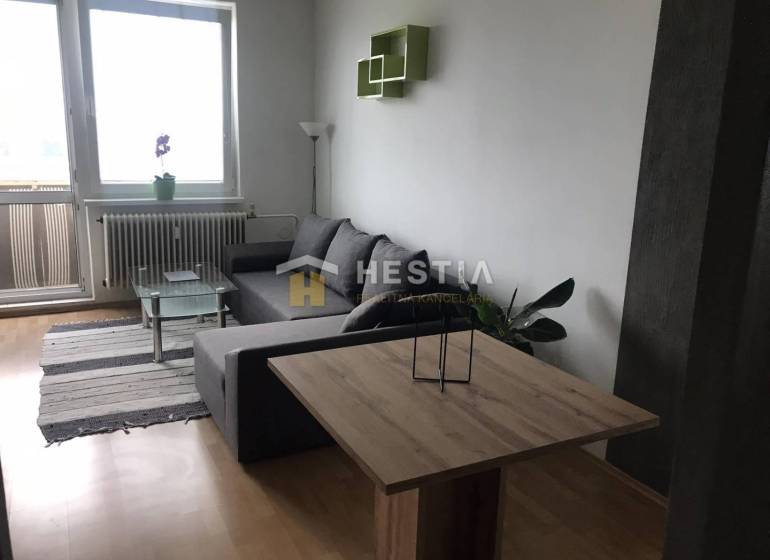 Living room in a two-room apartment with a sofa and wooden decor flooring.