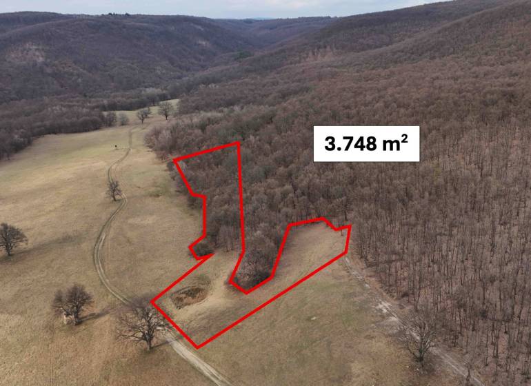 Agricultural and forest land around Príbelce with a marked area of 3,748 m².