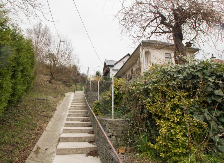 A family house in Kostoľany nad Hornádom with a path, covered with ivy and a retaining wall.