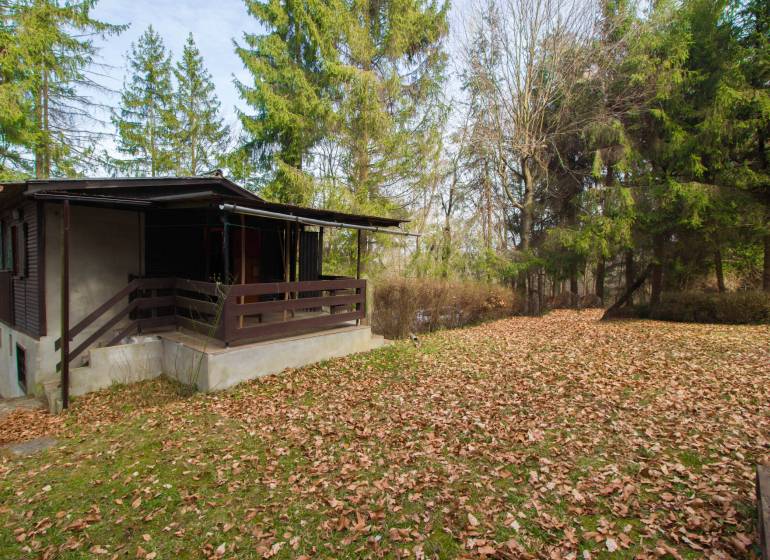 A cottage in nature on Recreational lands in Holčíkovce, surrounded by coniferous trees.