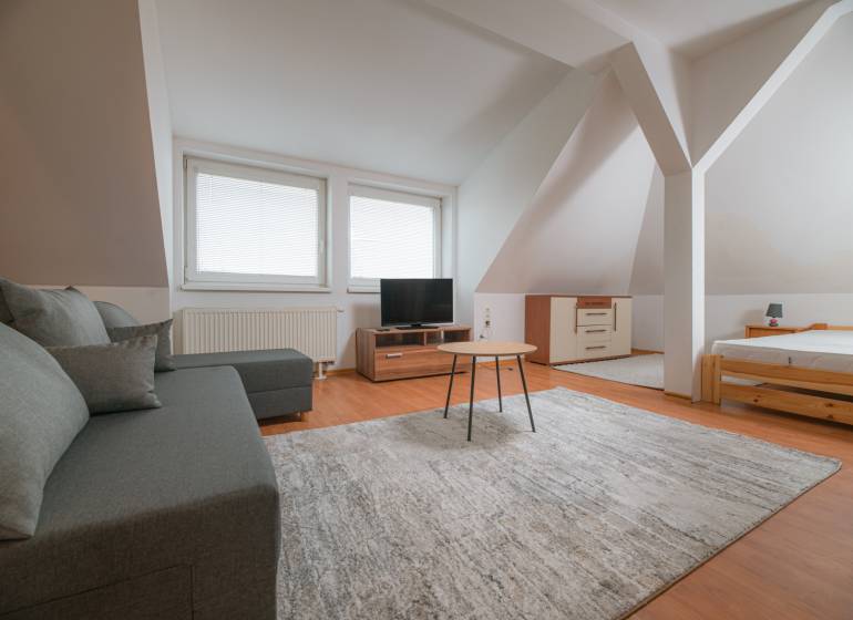 Attic room in a 2-room apartment with a sofa, carpet, and wooden decor flooring.