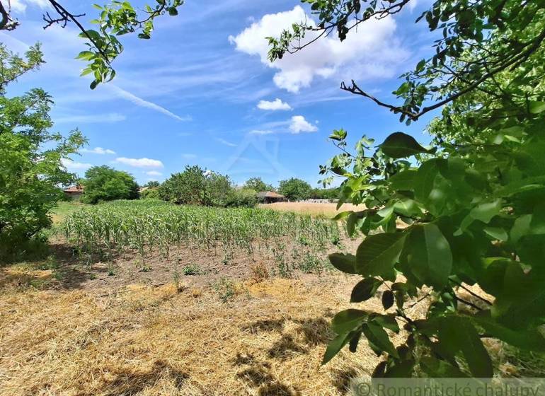 Nature in the Gardens of the Stone Bridge with a field under the blue sky and white clouds.