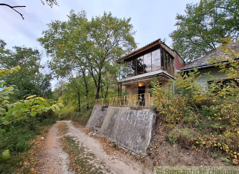 A cottage in Kamenín with a glass floor, surrounded by trees and a forest path.
