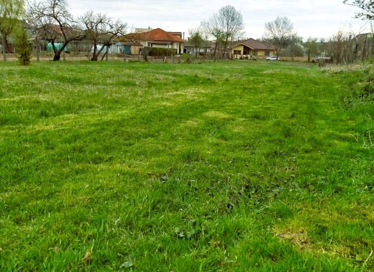 Greenery and houses in Horné Kráľová, suitable for residential plots.