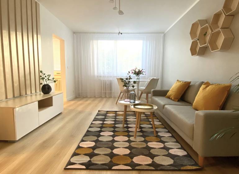 Living room in a two-room apartment with a wooden-patterned floor and a patterned carpet.