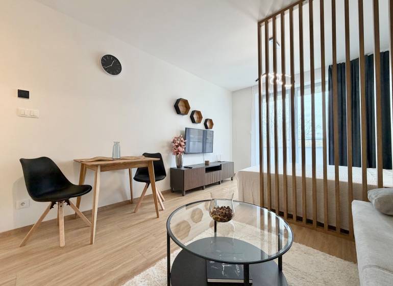 A one-bedroom apartment with a wood-patterned floor, a partition wall, and a television.