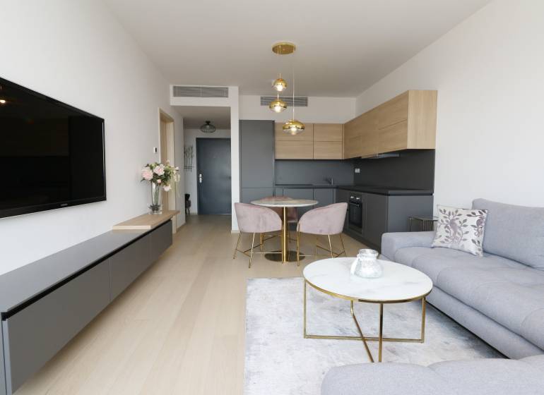 2-room apartment with wood-patterned flooring, gray sofa, and minimalist kitchen.