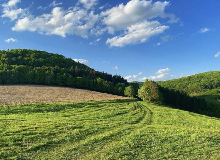 Beautiful green agricultural and forest lands in Dolné Kočkovce under a clear blue sky.