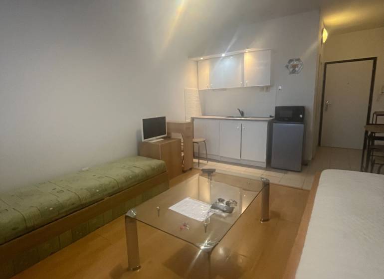 Studio apartment with a sofa, glass table, and kitchenette. Floor with wood decor.