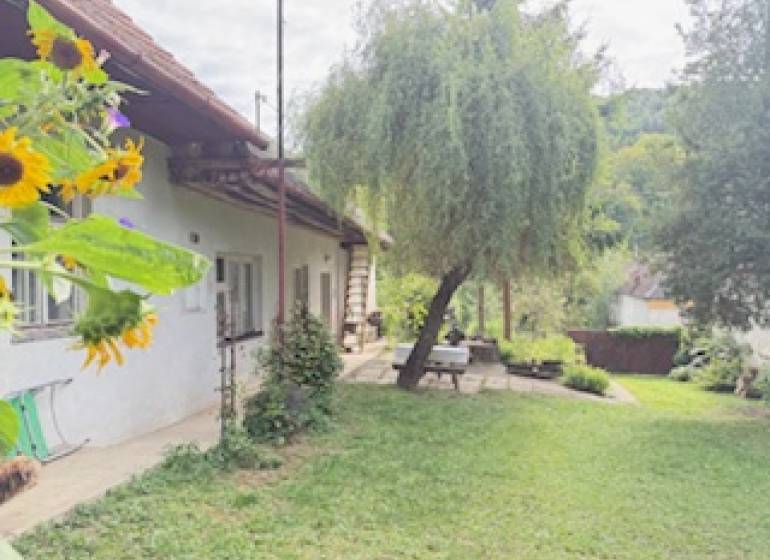 A family house in Krivosúd-Bodovka with a landscaped garden and a bench under a tree.