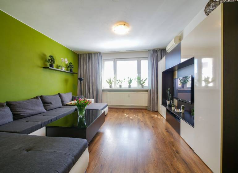 Living room in a 3-room apartment with a sofa, wood-patterned flooring, and a green wall.