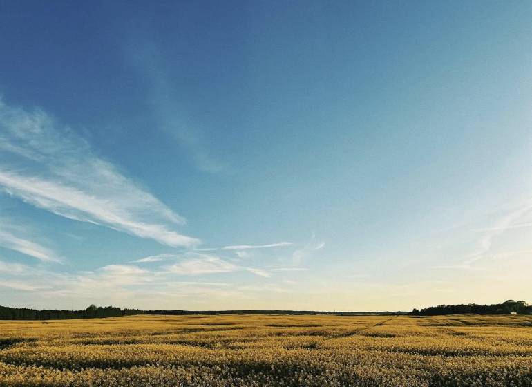 Agricultural and forest lands in Častá with an extensive meadow under a blue sky.