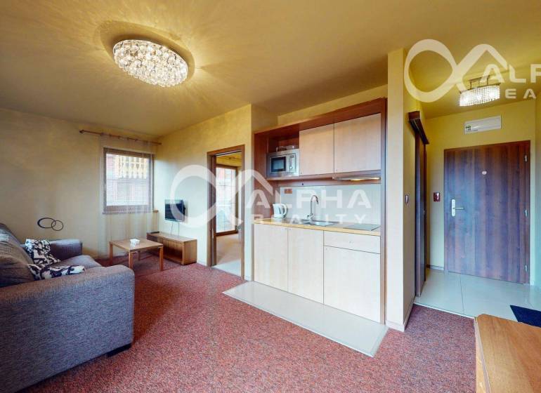 Living room in a two-room apartment with a sofa and a kitchenette.