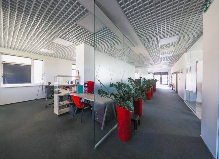 Offices with glass walls, red decorative plants, and carpet.