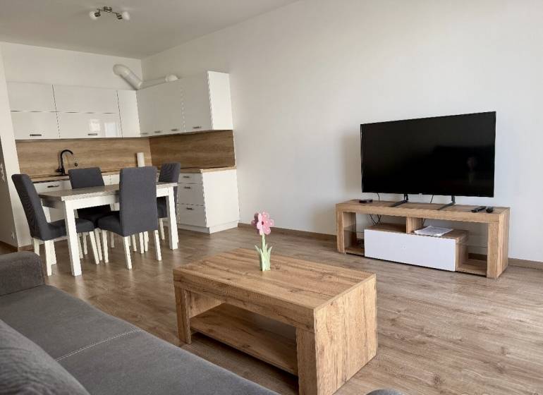 Living room with a kitchenette, dining table, and television in a 2-room apartment with a wood-patterned floor.
