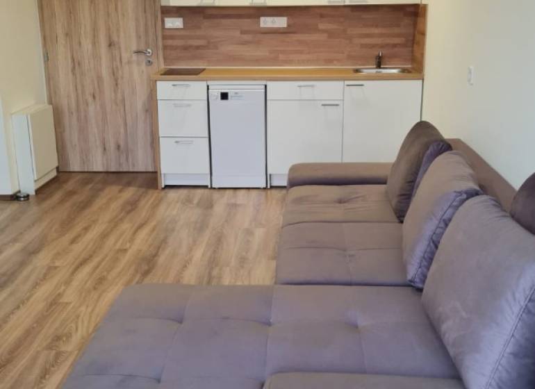 Studio apartment with a kitchenette, gray sofa, and wood-patterned flooring.