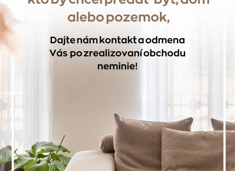 A bright living room with a comfortable sofa and a plant, a 2-room apartment with a wooden decor floor.