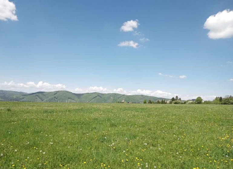 Agricultural and forest land in Kunerad, a blooming field with mountains in the background.