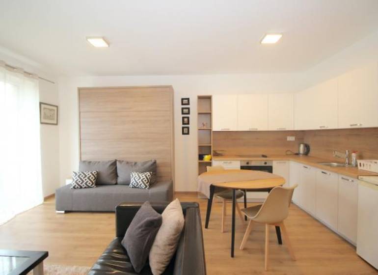 Living room with kitchen in a studio apartment with a wooden decor floor.