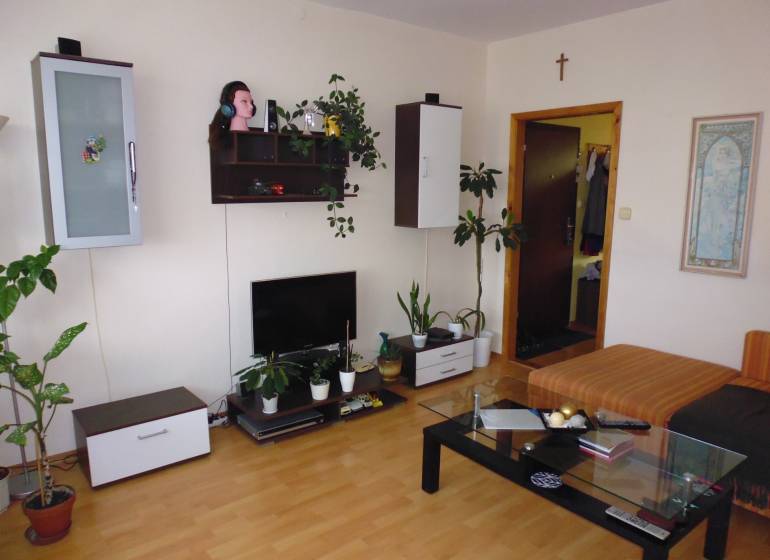 Living room in a 2-room apartment with a wooden decor floor, shelves, and plants.