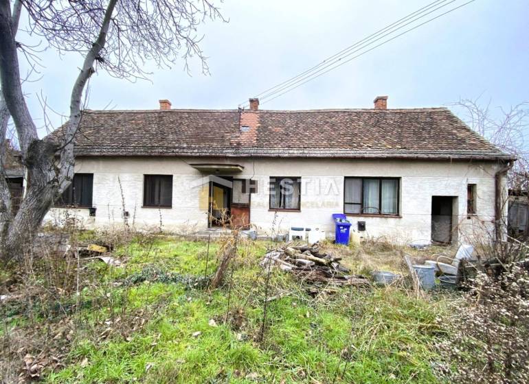 An old family house is awaiting renovation, and there is wild vegetation and mess in the garden.