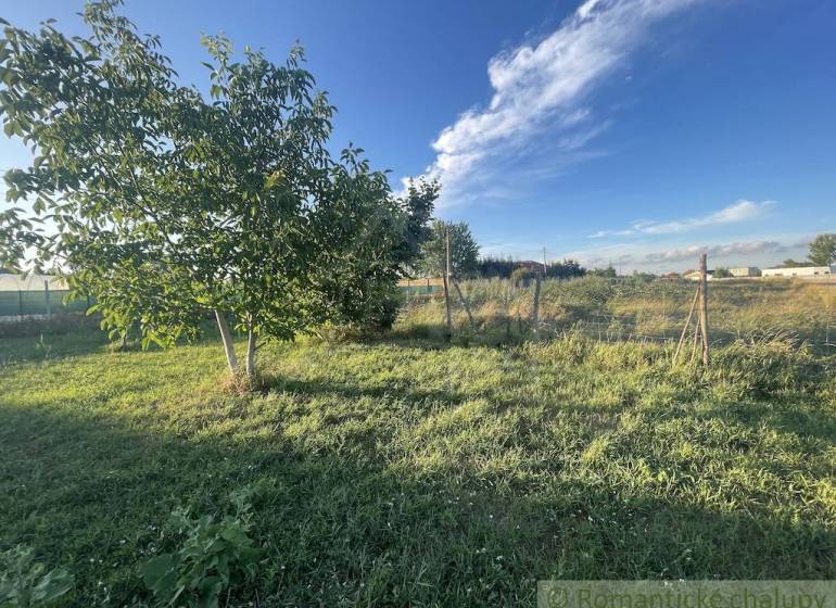 Gardens in Jatov with lush grass and trees under a clear blue sky.