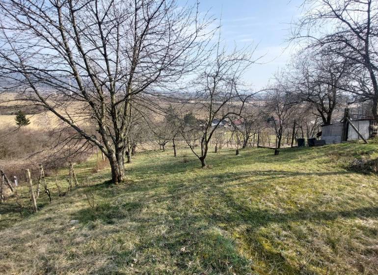 Vineyards in Zlaté Moravce with a view, trees, and grassy land.