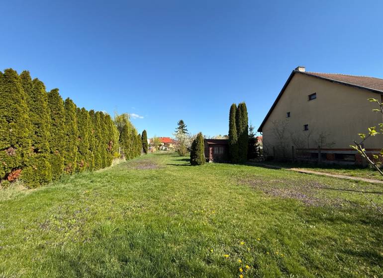 Grassy residential plots in Dvorany nad Nitrou, bordered by conifers and a house.