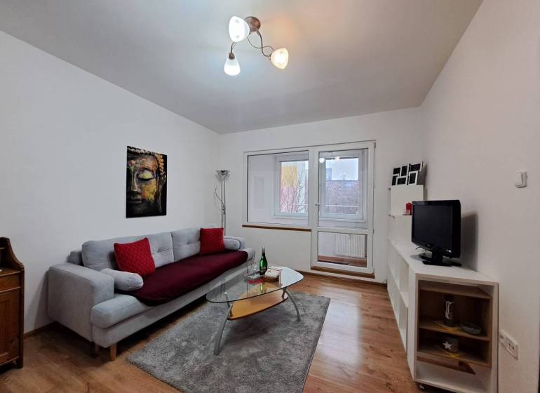 Living room in a two-room apartment with a sofa, glass table, and wooden decor flooring.