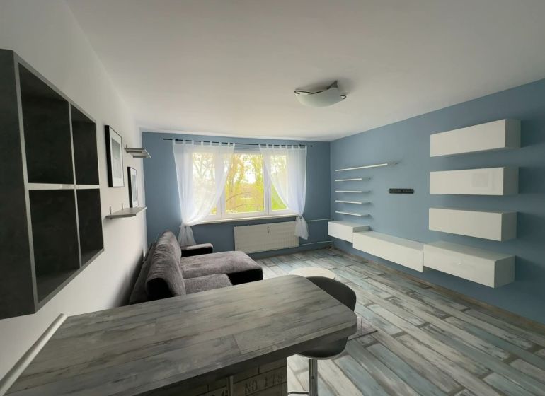 Living area in a studio apartment with a wooden decor floor and blue walls.