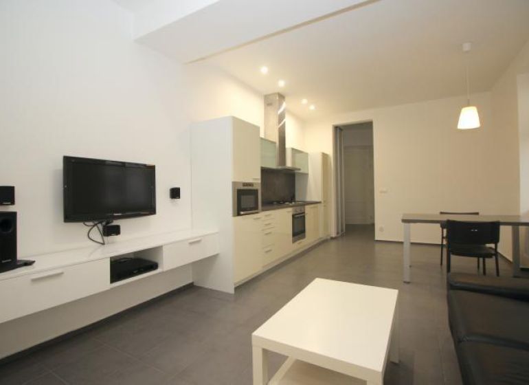 Living room in a two-room apartment with a kitchenette and a TV on the wall.
