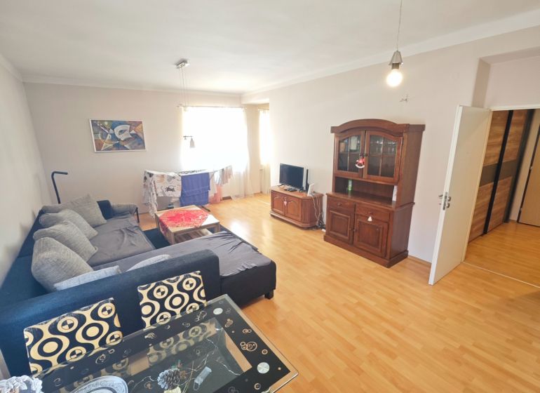 Living room in a two-room apartment with a wooden decor floor and a comfortable sofa.