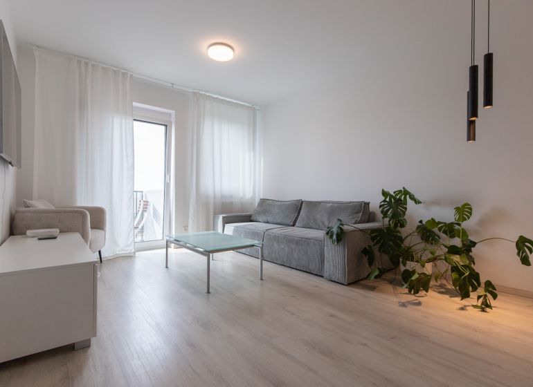 Living room in a two-room apartment with a sofa, table, and wooden decor flooring.