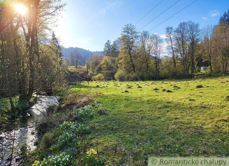 Sunlight filters through the trees in a garden near Ľubietová, with a stream and flowers.