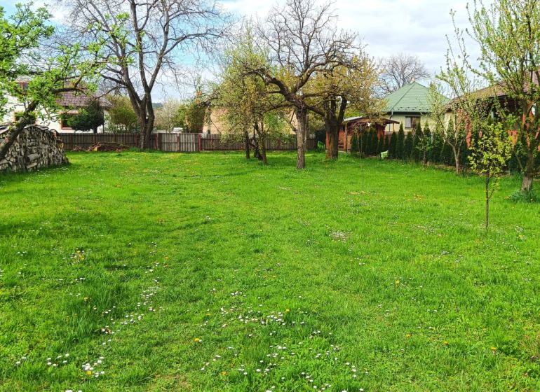 Greenery and fruit trees on a plot suitable for living in Strážske.