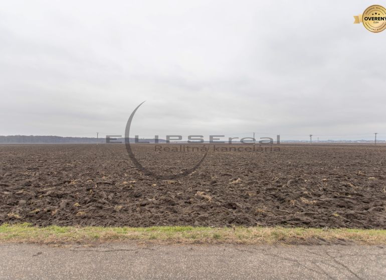 Agricultural and forest land in Zohor on Dolná Street, ready for cultivation.
