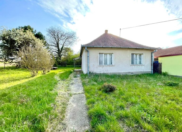 A family house in Dulovce surrounded by a garden with a walkway, green plants, and trees.