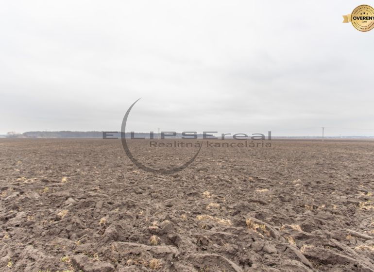 Arable land on agricultural and forest plots, Dolná Street, Zohor, under a cloudy sky.