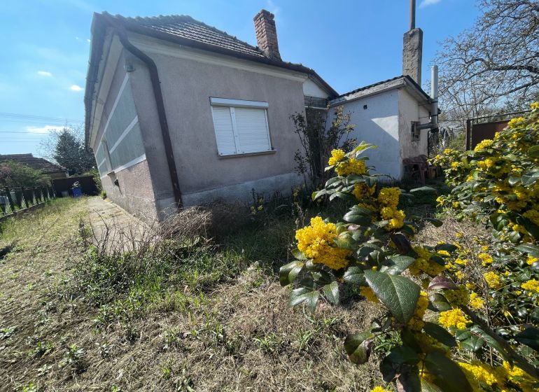 A family house in Bátorove Kosihy, a garden with blooming shrubs and surrounding greenery.