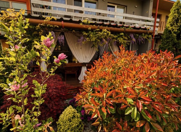 A family house on Muškátová Street in Pezinok with a landscaped garden full of flowers.