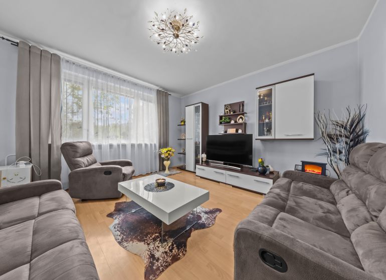 Living room in a 3-room apartment with a sofa and a wooden decor floor.
